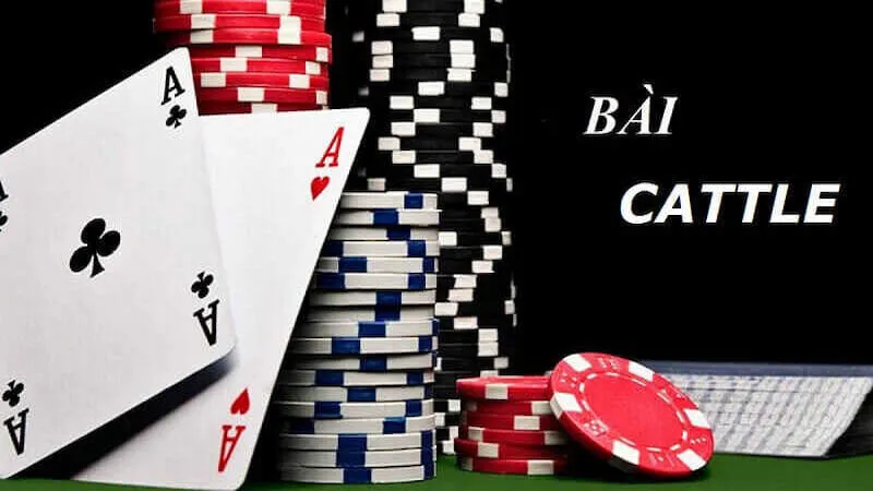 Giới thiệu về bài Cát Tê